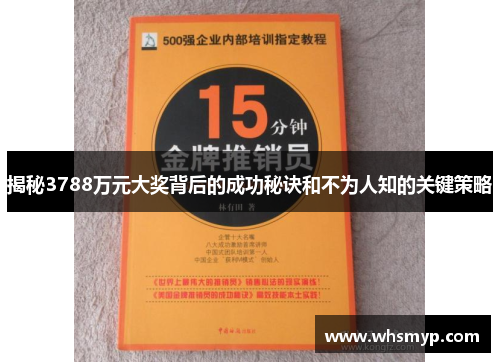揭秘3788万元大奖背后的成功秘诀和不为人知的关键策略