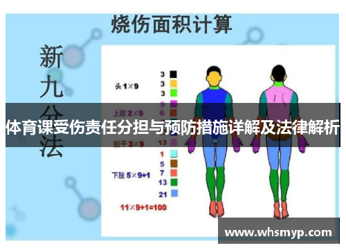 体育课受伤责任分担与预防措施详解及法律解析