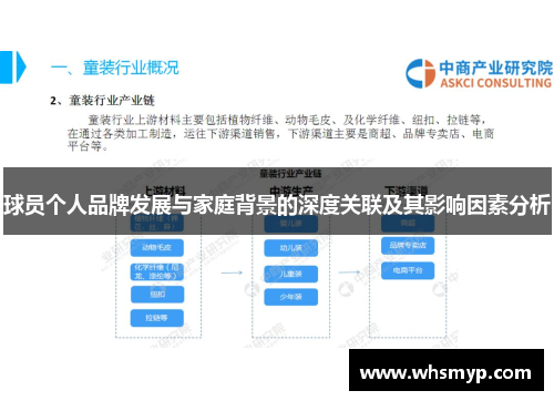 球员个人品牌发展与家庭背景的深度关联及其影响因素分析