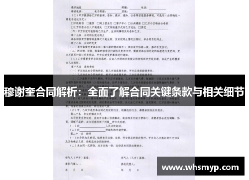 穆谢奎合同解析：全面了解合同关键条款与相关细节